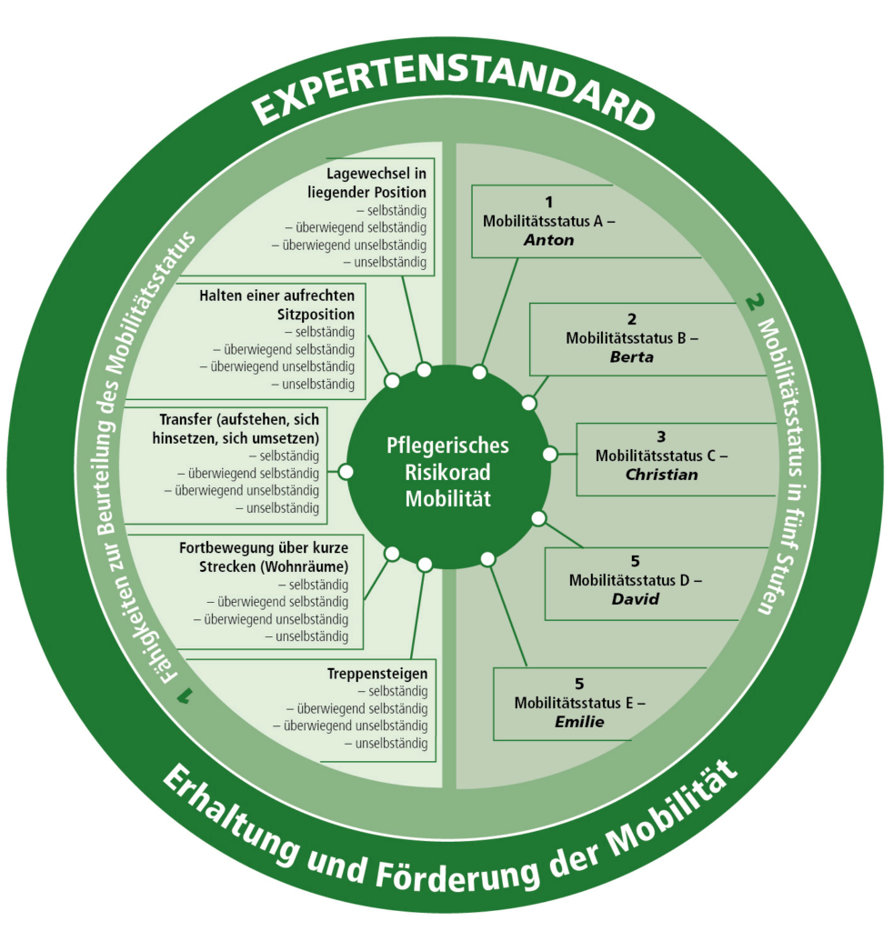 Expertenstandard In Der Pflege | Fortbildungvorort | Bildungsinstitut ...